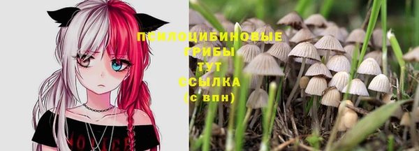 трава Абинск