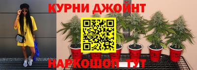 молекула духа Кулебаки