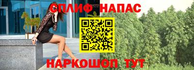молекула духа Кулебаки