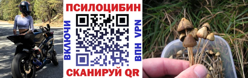 Галлюциногенные грибы Cubensis Иваново