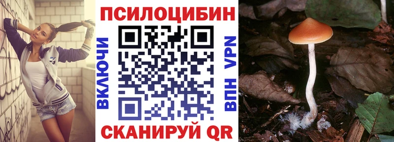 купить наркотики сайты  Иваново  Галлюциногенные грибы Psilocybine cubensis 