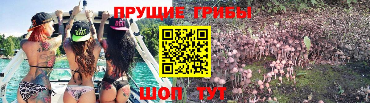 Галлюциногенные грибы GOLDEN TEACHER  Галлюциногенные грибы мухоморы  Иваново  Вход с VPN 