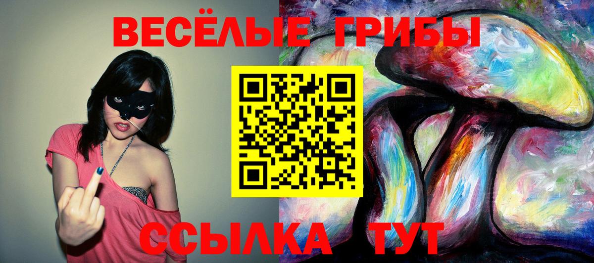 Галлюциногенные грибы GOLDEN TEACHER Иваново